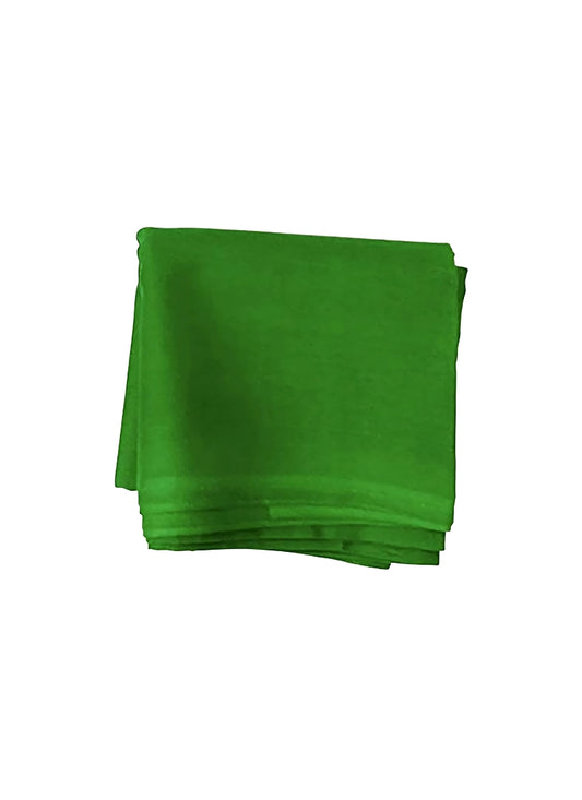 Fancy Green Blouse