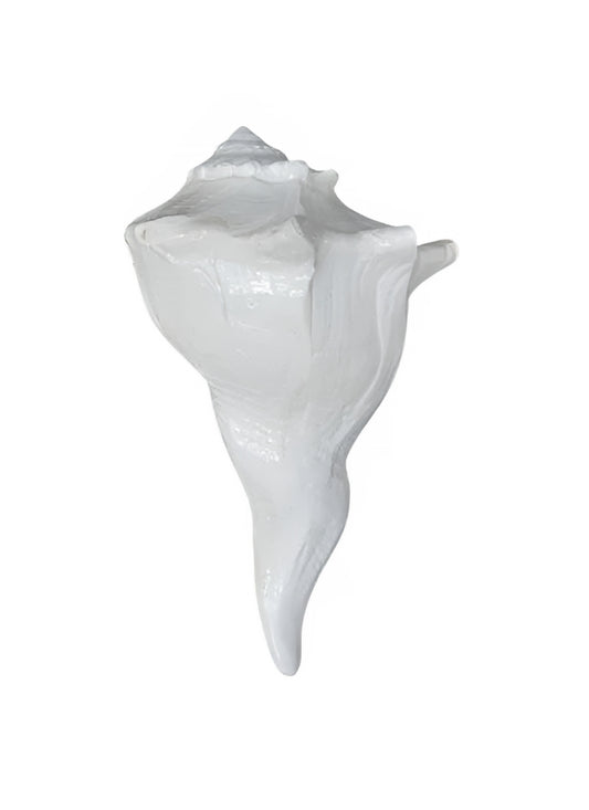 Bowing Shankh