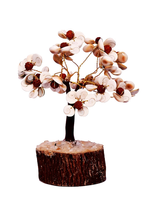 Gomti Chakra Rudraksha Tree