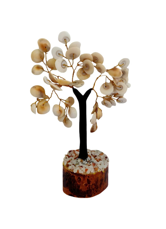 GOMUCHAKRA PLANTS