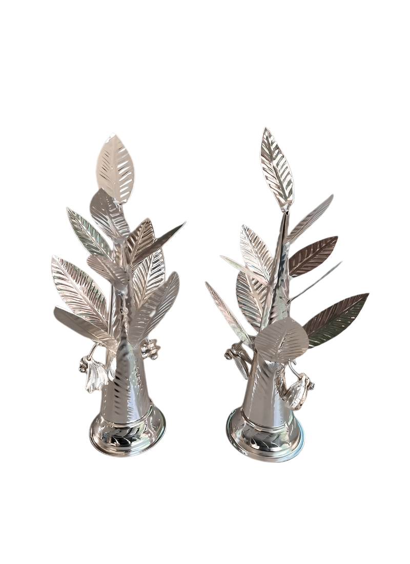 German Silver Banana Tree
