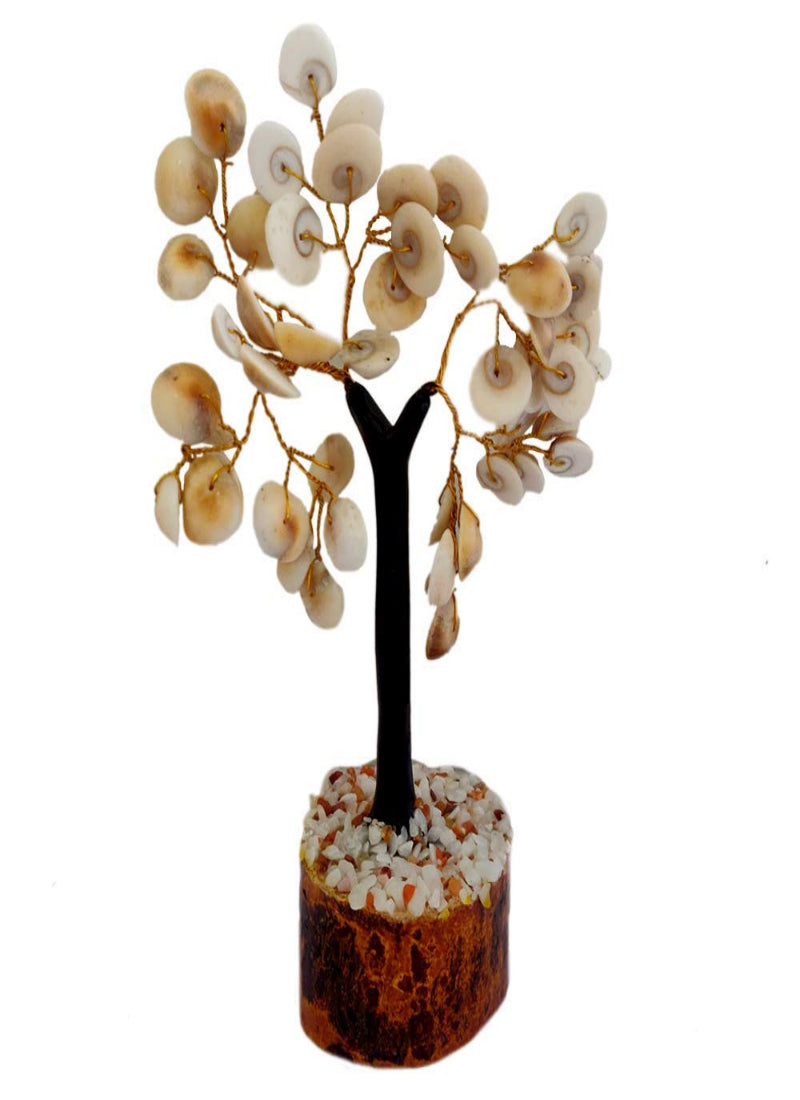 GOMUCHAKRA PLANTS