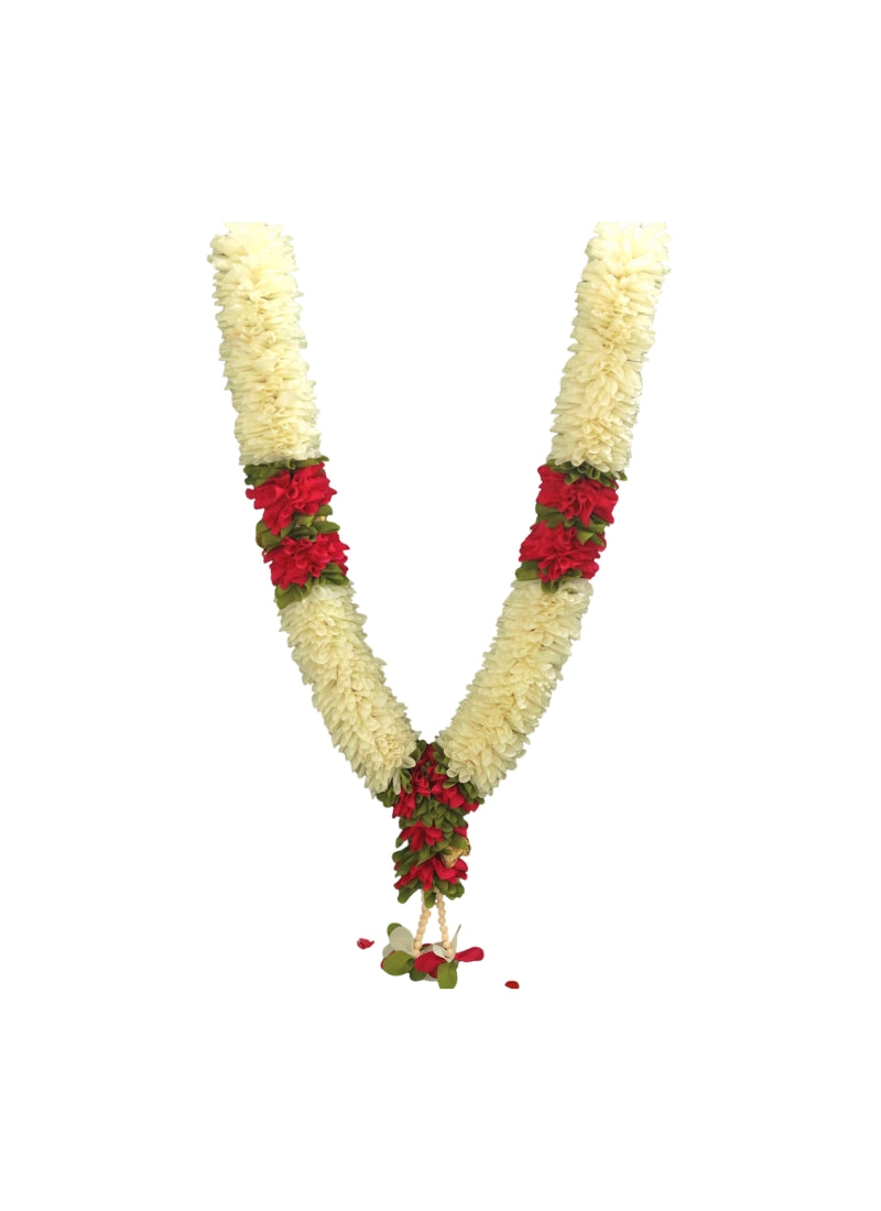 poojasbyvivek