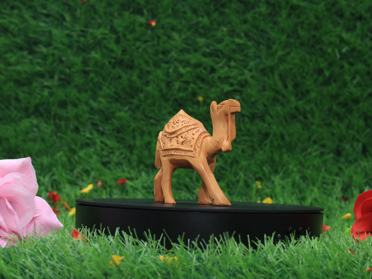 Wood Carbing Camel 3"