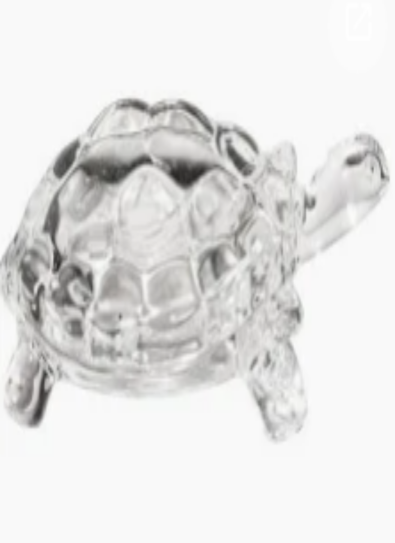 Vastu Glass Tortoise