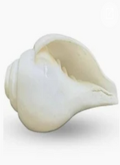 Bowing Shankh