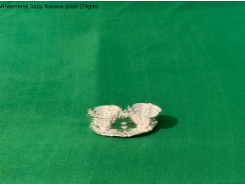 German silver  BABY KARUNA PLATE(24gm)
