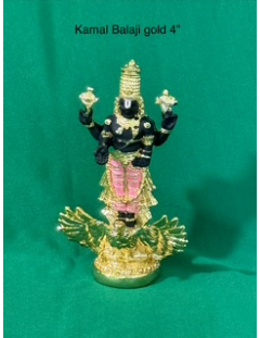 silver coated KAMAL BALAJI GOLD