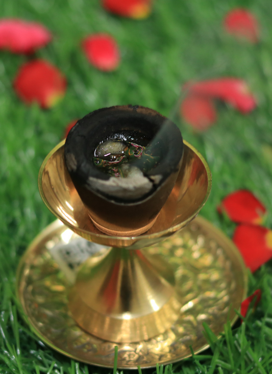 Cup Dhoop Single Piece
