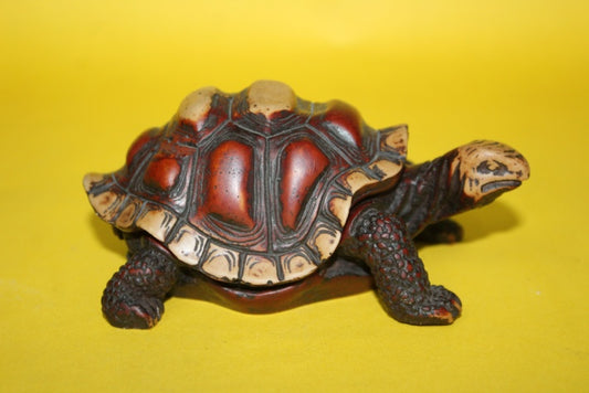 RESIN TORTOISE BOX PLAIN (RUJ)