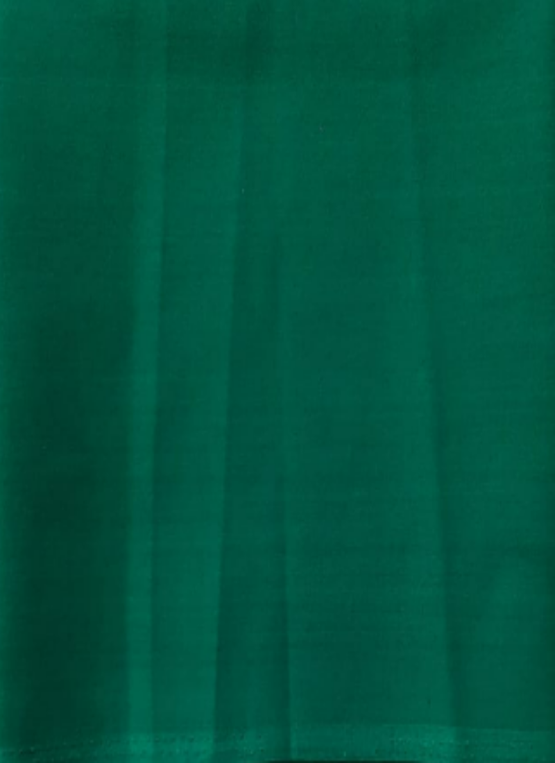 Fancy Green Blouse